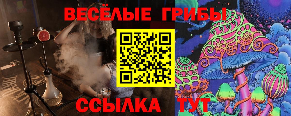 Псилоцибиновые грибы Psilocybe  Вход с VPN  Кубинка 